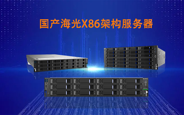 國產(chǎn)海光三大服務(wù)器大比拼 誰更勝一籌